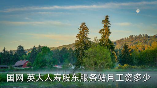 國(guó)網(wǎng) 英大人壽股東服務(wù)站月工資多少