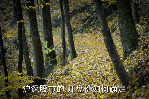 滬深股市的 開(kāi)盤(pán)價(jià)如何確定