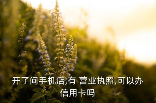 開了間手機(jī)店,有 營(yíng)業(yè)執(zhí)照,可以辦信用卡嗎