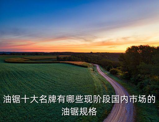 油鋸十大名牌有哪些現(xiàn)階段國(guó)內(nèi)市場(chǎng)的油鋸規(guī)格