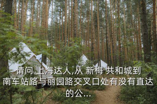 請(qǐng)問(wèn) 上海達(dá)人,從 新梅 共和城到南車站路與麗園路交叉口處有沒(méi)有直達(dá)的公...
