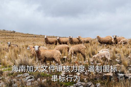  海南加大文件審核力度,遏制圍標(biāo)、串標(biāo)行為