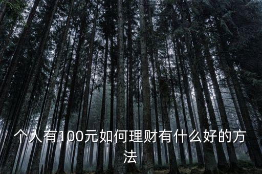 個人有100元如何理財有什么好的方法