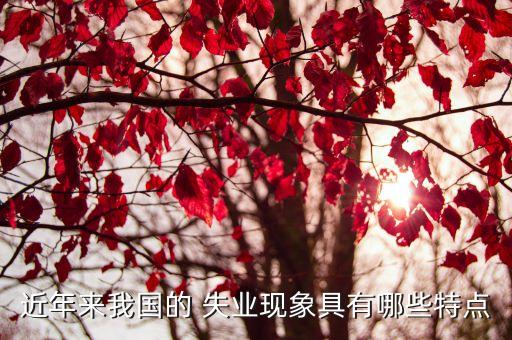 近年來(lái)我國(guó)的 失業(yè)現(xiàn)象具有哪些特點(diǎn)