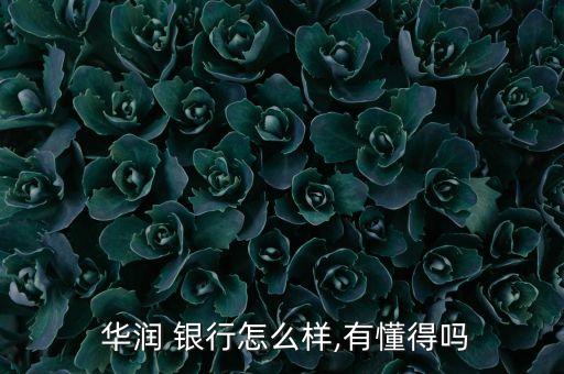  華潤(rùn) 銀行怎么樣,有懂得嗎