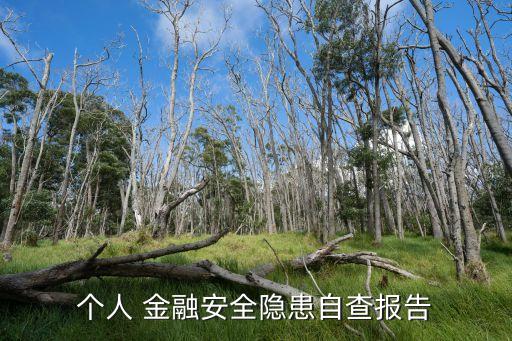 當(dāng)前銀行個人金融業(yè)務(wù)的風(fēng)險點(diǎn),銀行個人金融業(yè)務(wù)自查報告