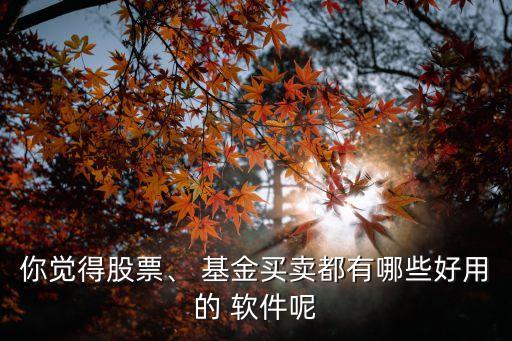 你覺得股票、 基金買賣都有哪些好用的 軟件呢