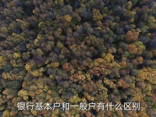 備案制銀行賬戶(hù)有哪些,2022銀行賬戶(hù)核準(zhǔn)制和備案制