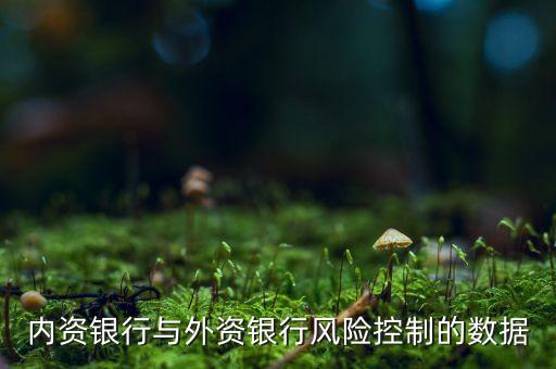 中國內(nèi)資銀行與外資銀行風險控制的數(shù)據(jù)