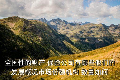 全國性的財(cái)產(chǎn) 保險(xiǎn)公司有哪些他們的發(fā)展概況市場份額機(jī)構(gòu) 數(shù)量如何