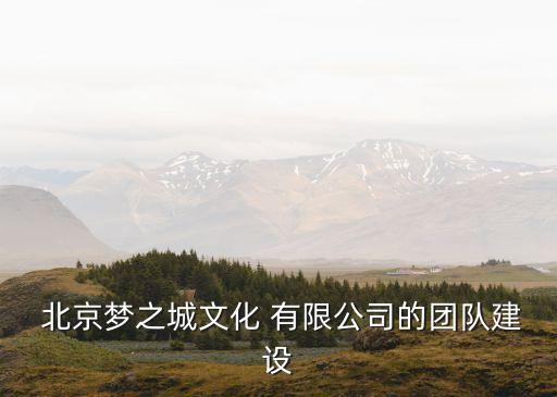  北京夢(mèng)之城文化 有限公司的團(tuán)隊(duì)建設(shè)