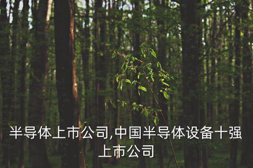 分立半導(dǎo)體上市公司,中國(guó)半導(dǎo)體設(shè)備十強(qiáng)上市公司