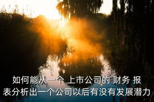 如何能從一個(gè) 上市公司的 財(cái)務(wù) 報(bào)表分析出一個(gè)公司以后有沒(méi)有發(fā)展?jié)摿? class=