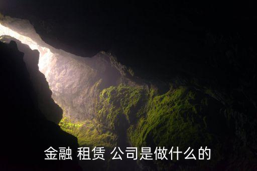 融資租賃公司的經(jīng)營(yíng)