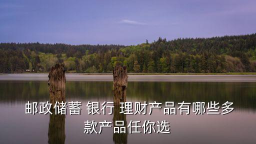  郵政儲(chǔ)蓄 銀行 理財(cái)產(chǎn)品有哪些多款產(chǎn)品任你選