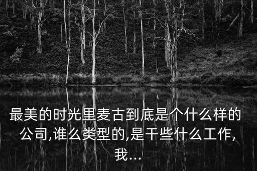 最美的時(shí)光里麥古到底是個(gè)什么樣的 公司,誰(shuí)么類型的,是干些什么工作,我...