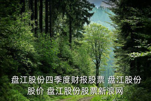  盤江股份四季度財(cái)報(bào)股票 盤江股份股價(jià) 盤江股份股票新浪網(wǎng)