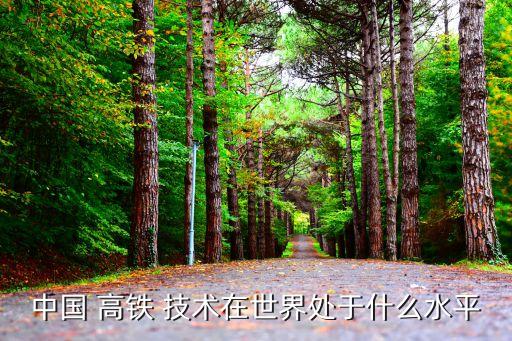 中國 高鐵 技術在世界處于什么水平
