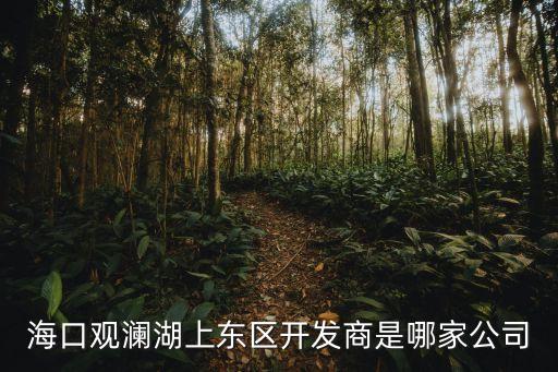?？谟^瀾湖上東區(qū)開(kāi)發(fā)商是哪家公司