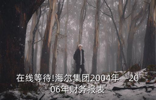 在線等待!海爾集團2004年—2006年財務(wù)報表