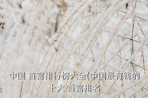 15年中國(guó)首富前10名