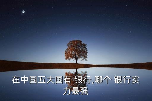 在中國(guó)五大國(guó)有 銀行,哪個(gè) 銀行實(shí)力最強(qiáng)