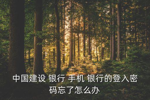 建行手機銀行怎么登錄,下載手機銀行建行手機銀行