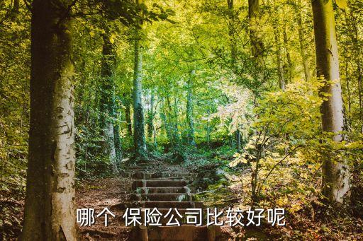 未來(lái)發(fā)展前景好的保險(xiǎn)公司,中國(guó)平安保險(xiǎn)公司發(fā)展前景