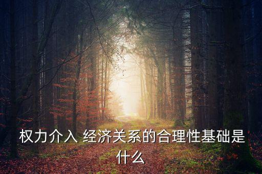 中國權力經濟,作為一個權力體系的經濟