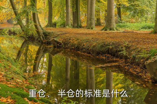 重倉、 半倉的標準是什么