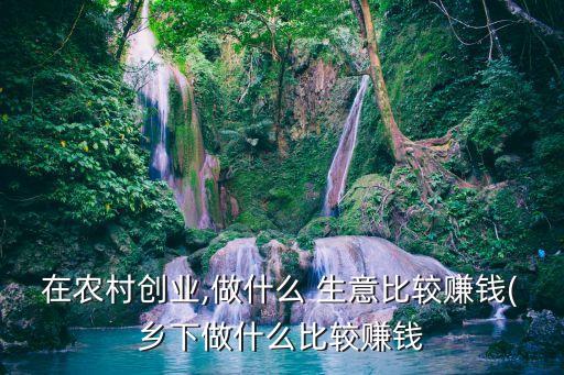 在農(nóng)村創(chuàng)業(yè),做什么 生意比較賺錢(qián)(鄉(xiāng)下做什么比較賺錢(qián)