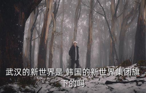 武漢的新世界是 韓國的新世界集團(tuán)旗下的嗎