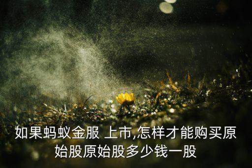 如果螞蟻金服 上市,怎樣才能購(gòu)買(mǎi)原始股原始股多少錢(qián)一股