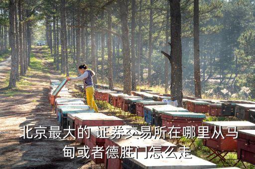  北京最大的 證券交易所在哪里從馬甸或者德勝門(mén)怎么走