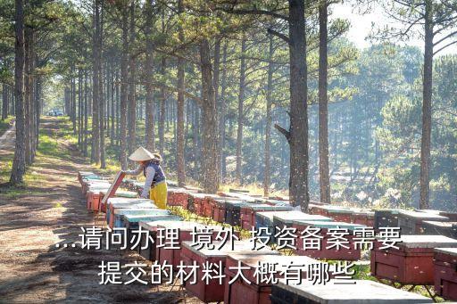 ...請(qǐng)問辦理 境外 投資備案需要提交的材料大概有哪些