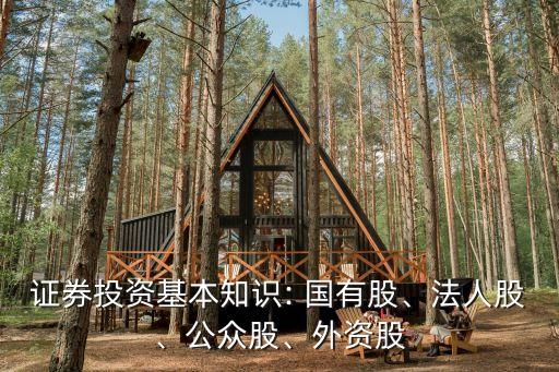 證券投資基本知識(shí): 國有股、法人股、公眾股、外資股