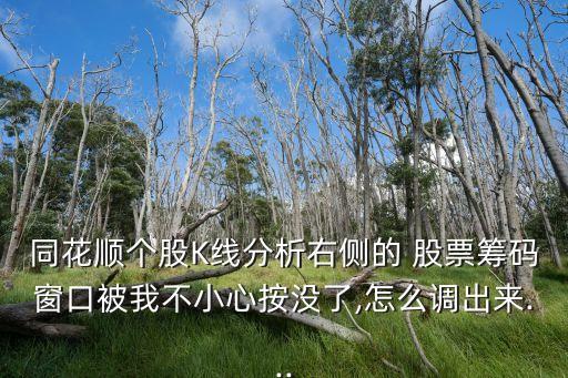 同花順個股K線分析右側的 股票籌碼窗口被我不小心按沒了,怎么調出來...