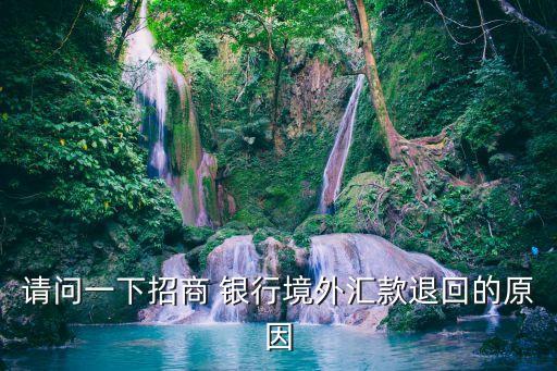 請(qǐng)問(wèn)一下招商 銀行境外匯款退回的原因