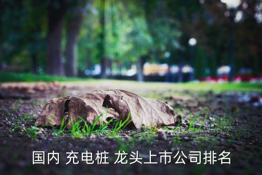 國內(nèi) 充電樁 龍頭上市公司排名