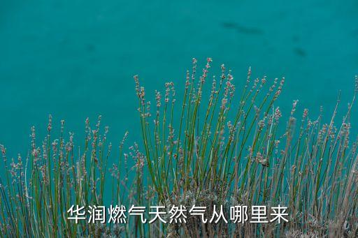 華潤燃?xì)馓烊粴鈴哪睦飦? class=