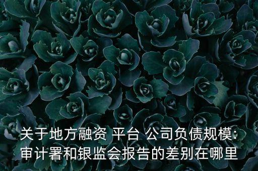 關(guān)于地方融資 平臺 公司負(fù)債規(guī)模:審計署和銀監(jiān)會報告的差別在哪里