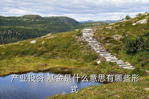  產(chǎn)業(yè)投資 基金是什么意思有哪些形式