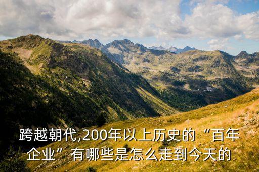 中國老字號(hào)上市公司,老字號(hào)上市公司 40億 日用品