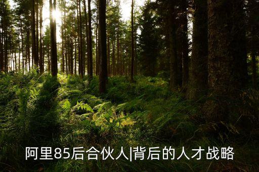 阿里巴巴公司治理問題