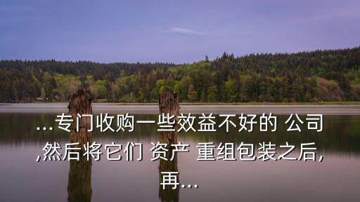...專門收購(gòu)一些效益不好的 公司,然后將它們 資產(chǎn) 重組包裝之后,再...