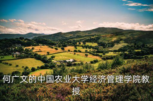 2011中國金融論壇,中國金融40人論壇成員