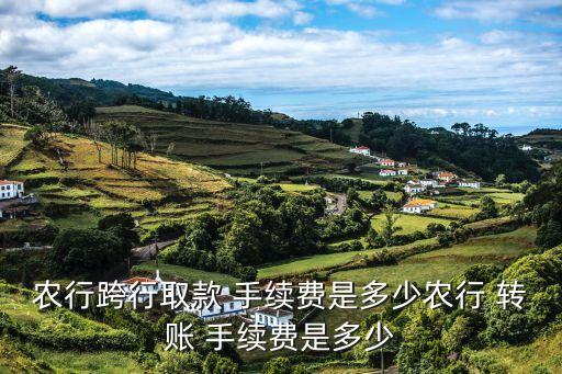 農(nóng)行跨行取款 手續(xù)費是多少農(nóng)行 轉(zhuǎn)賬 手續(xù)費是多少