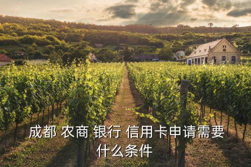  成都 農(nóng)商 銀行 信用卡申請(qǐng)需要什么條件