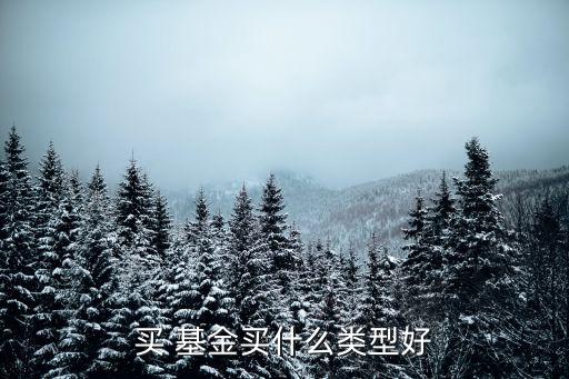 現(xiàn)在哪個基金好,基金app哪個好用