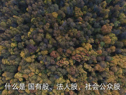 什么是 國有股、法人股、社會(huì)公眾股
